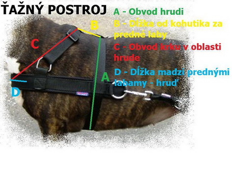 Ťažný postroj